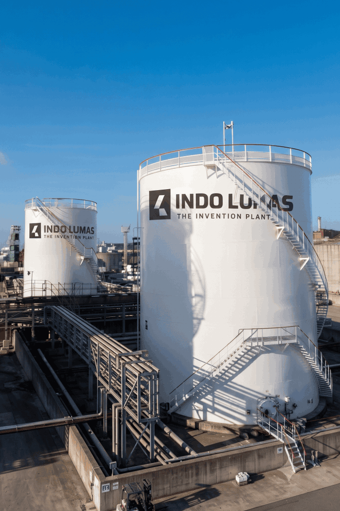 indolumas back